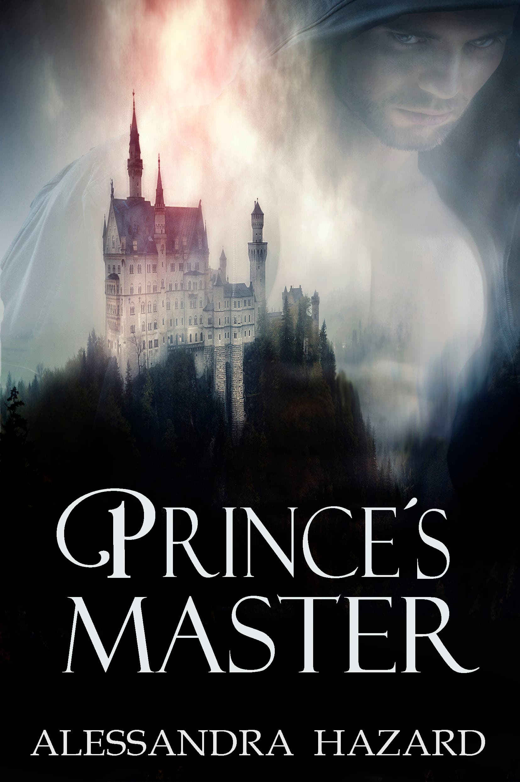 Prince's Master book cover