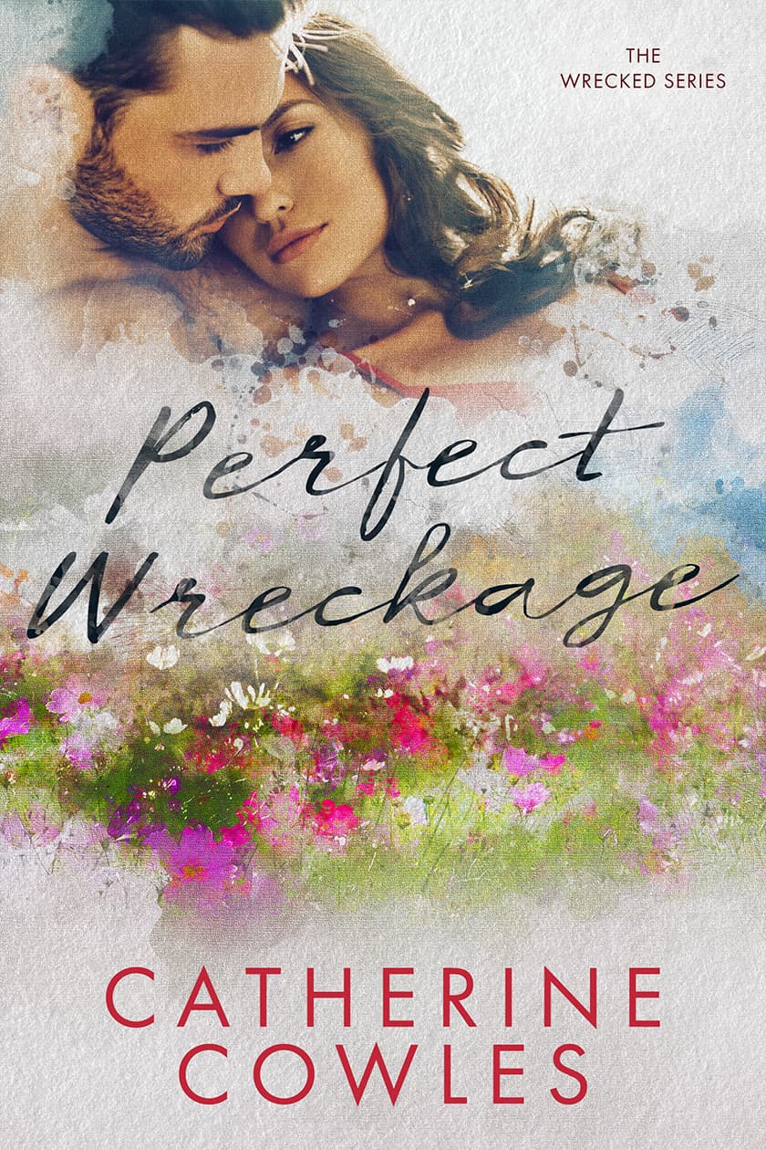 Perfect Wreckage book cover