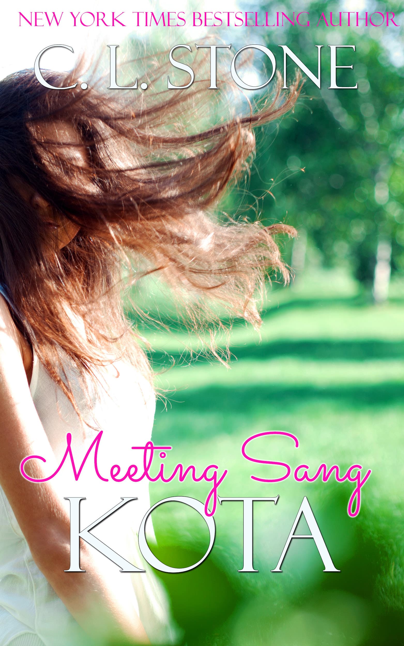 Meeting Sang: Kota book cover