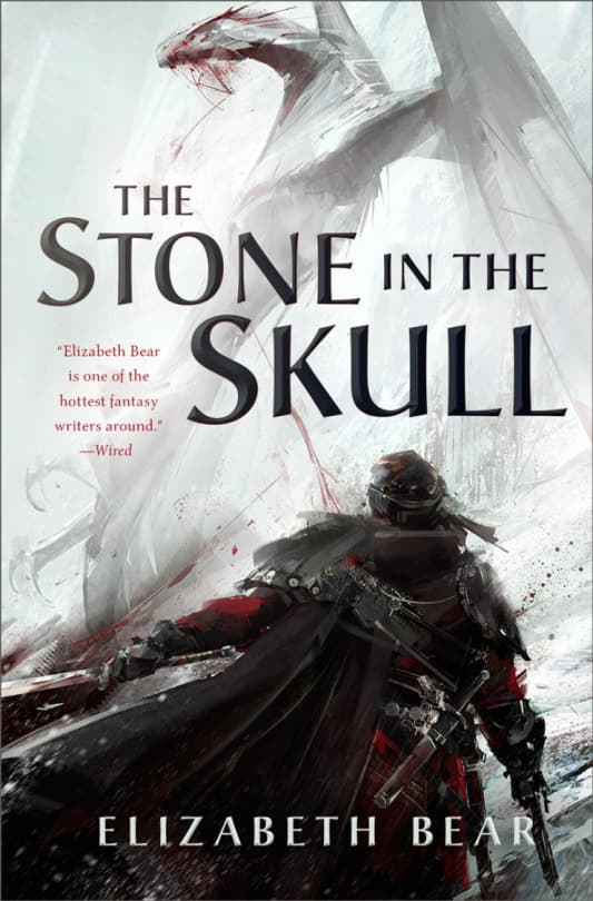 The Stone in the Skull book cover