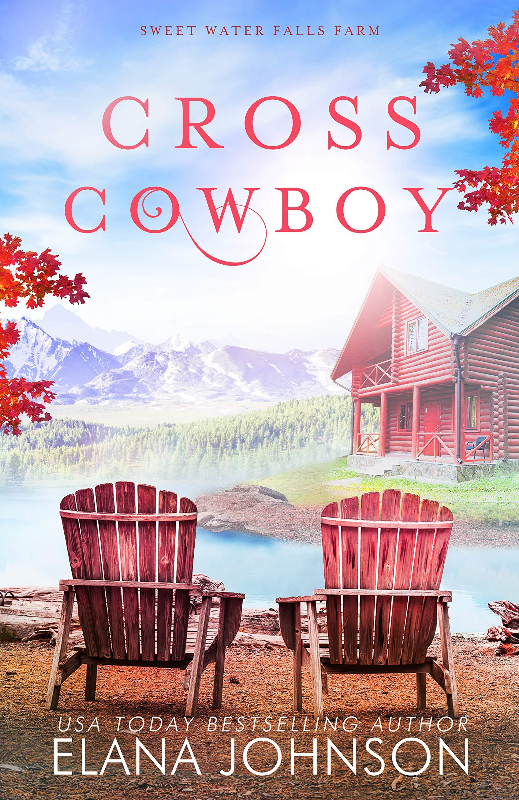 Cross Cowboy book cover