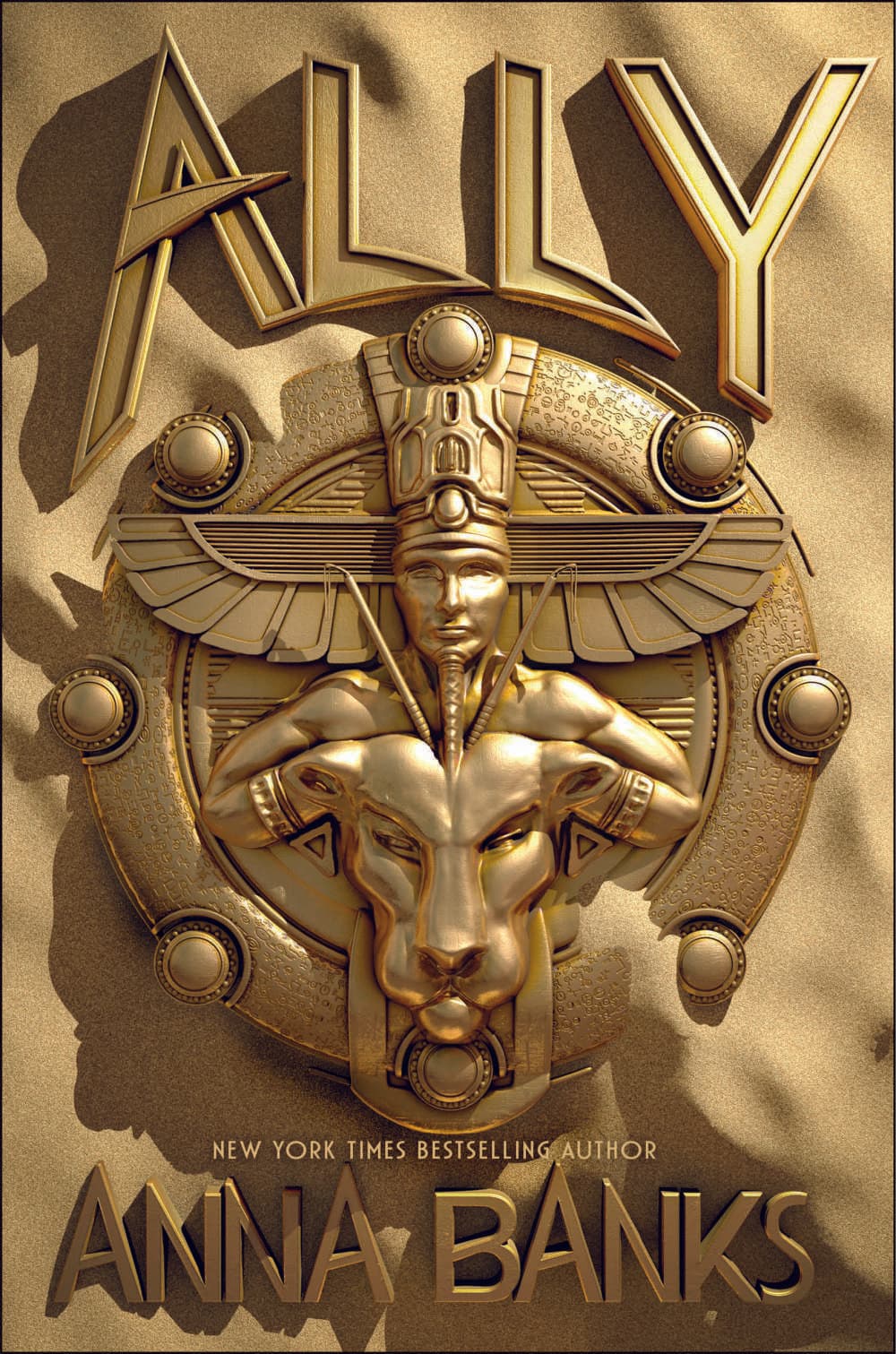 Ally book cover