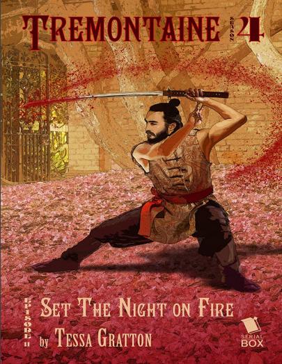 Set the Night on Fire book cover