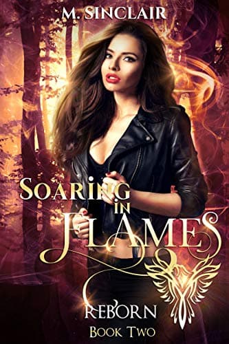 Soaring in Flames book cover