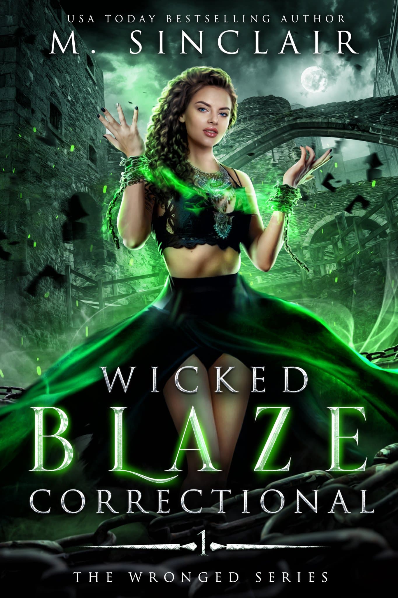 Wicked Blaze Correctional book cover