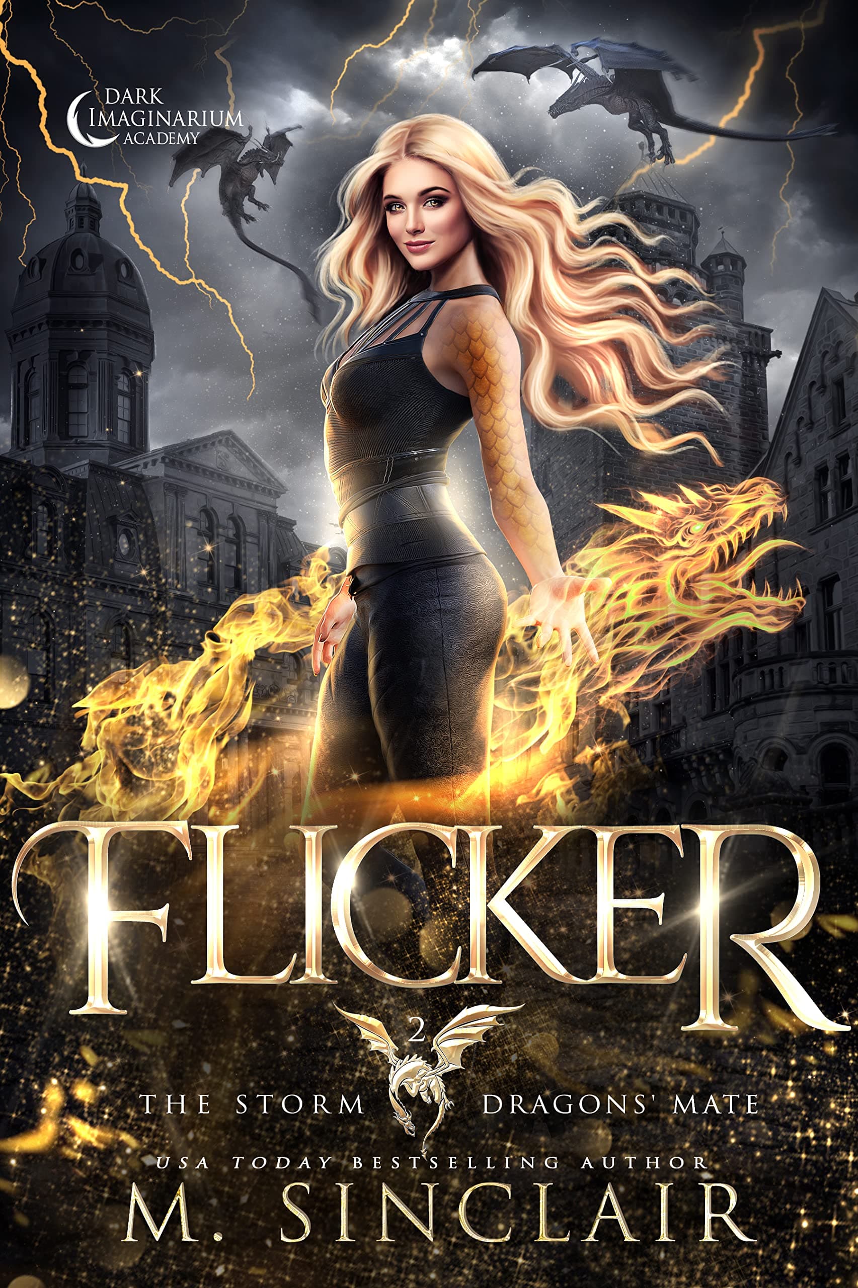 Flicker book cover