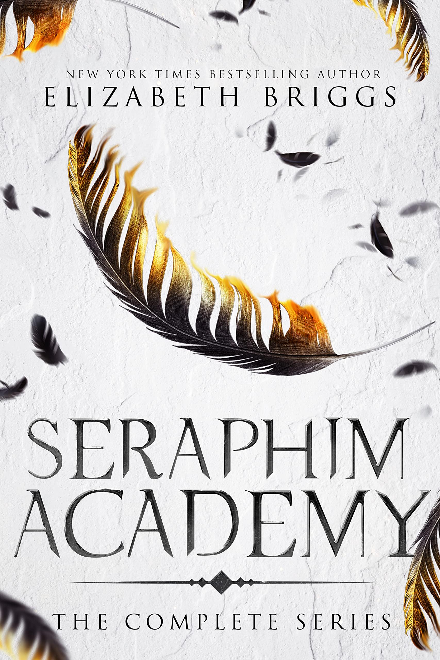 Seraphim Academy: The Complete Series book cover