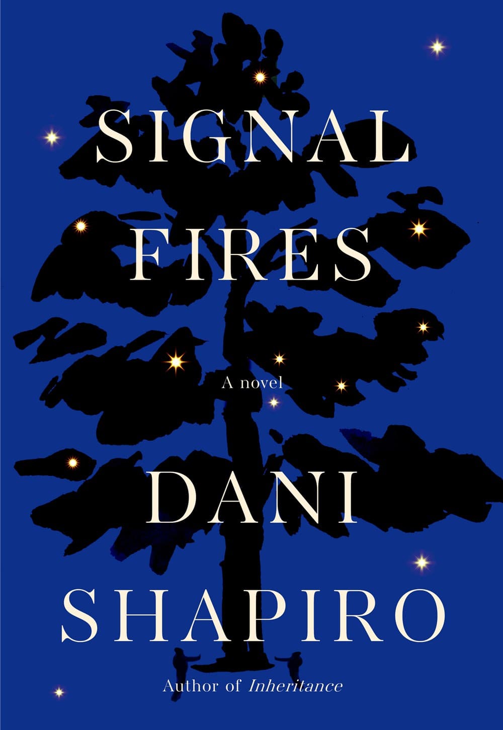 Signal Fires book cover