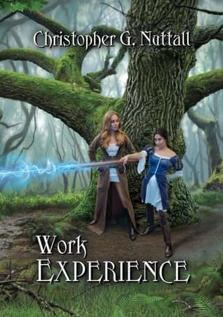 Work Experience book cover