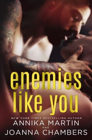 Enemies like You book cover