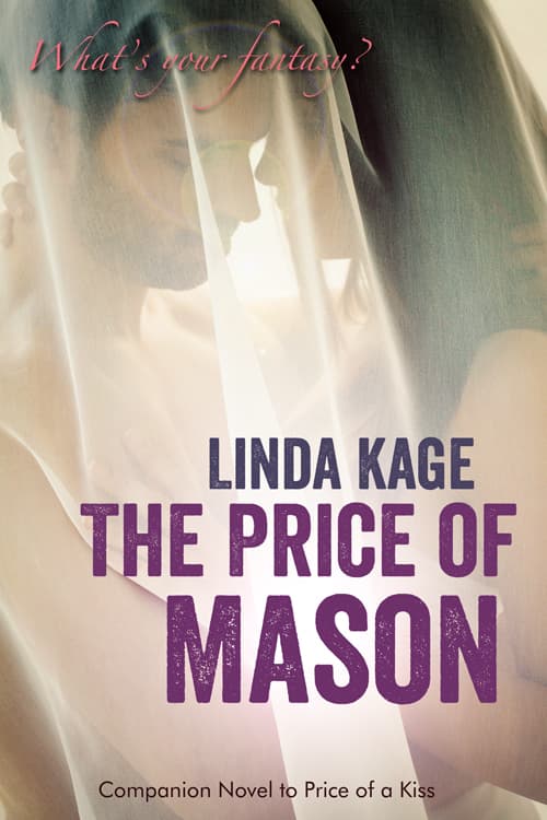 The Price of Mason book cover