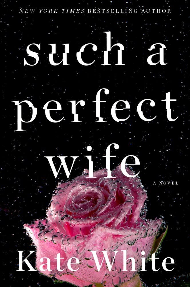 Such a Perfect Wife book cover