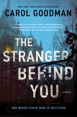 The Stranger Behind You book cover
