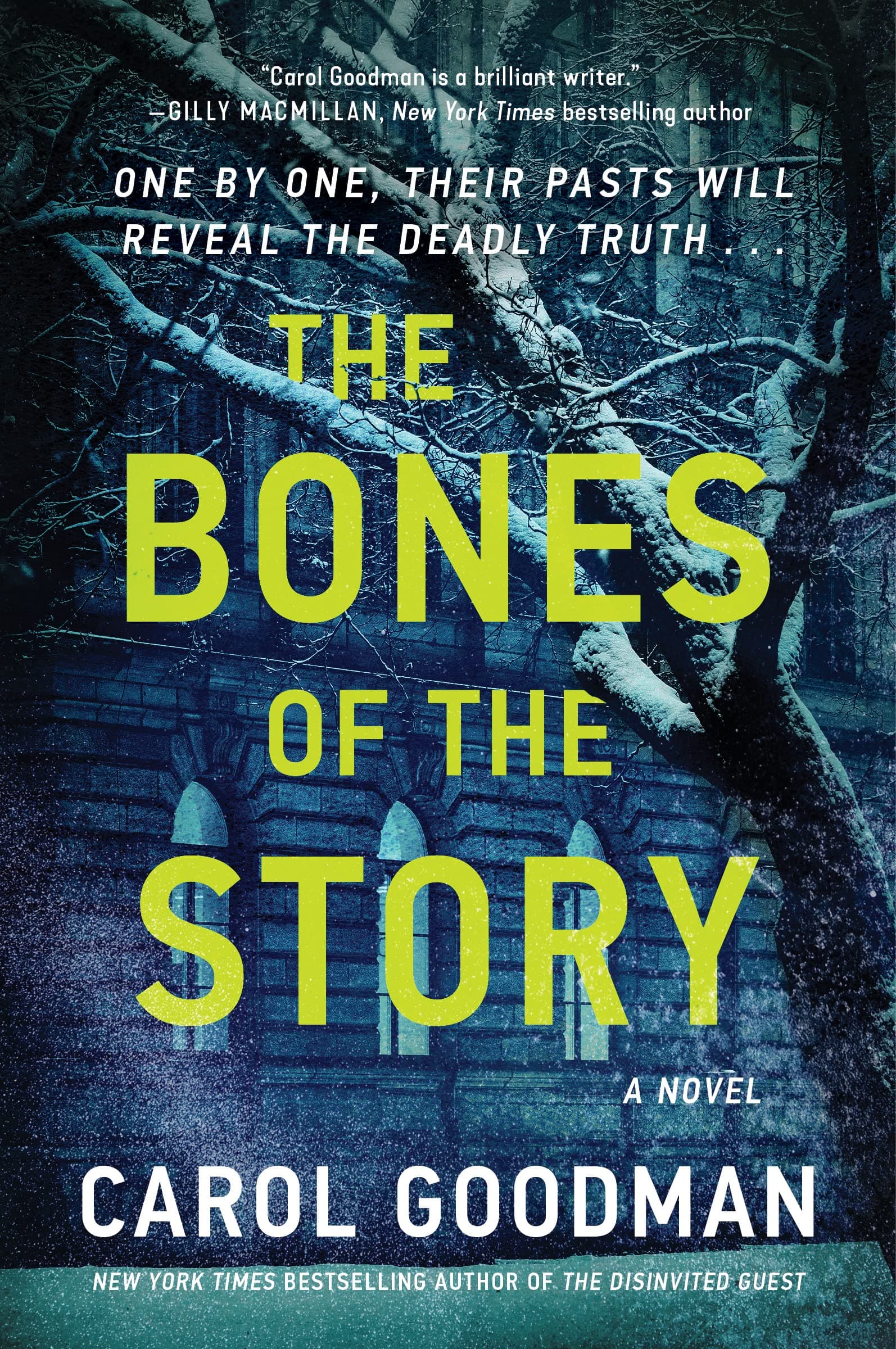 The Bones of the Story book cover