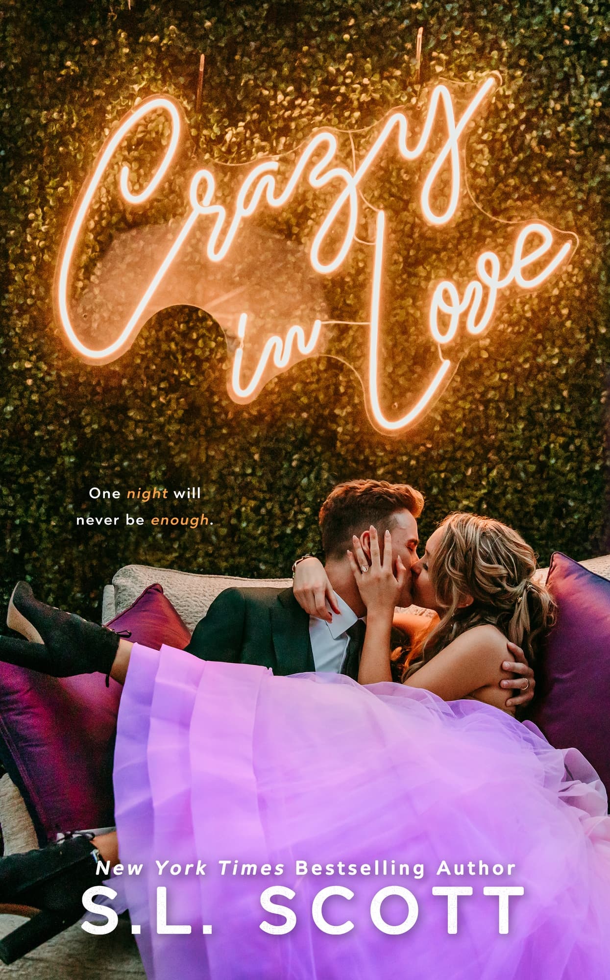 Crazy in Love book cover