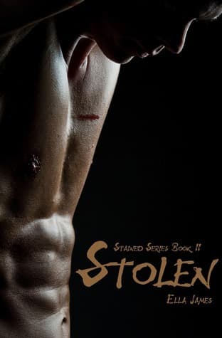 Stolen book cover