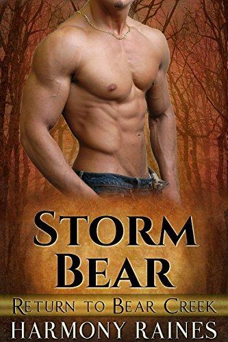 Storm Bear book cover