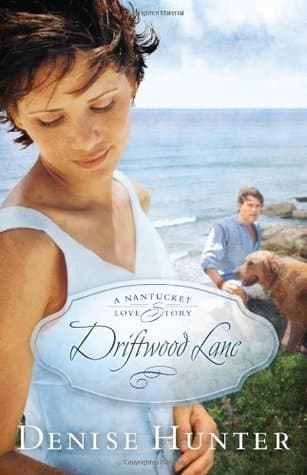 Driftwood Lane book cover