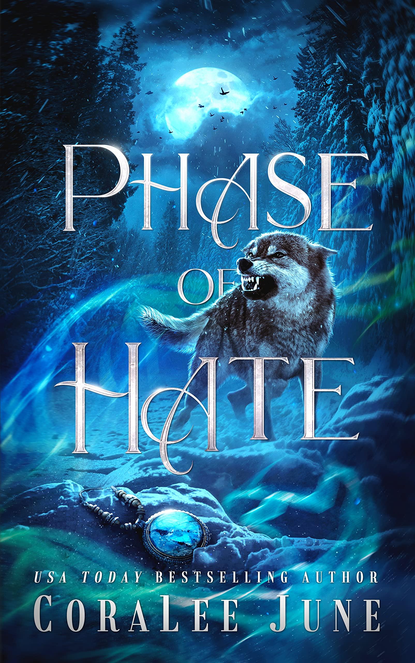 Phase of Hate book cover