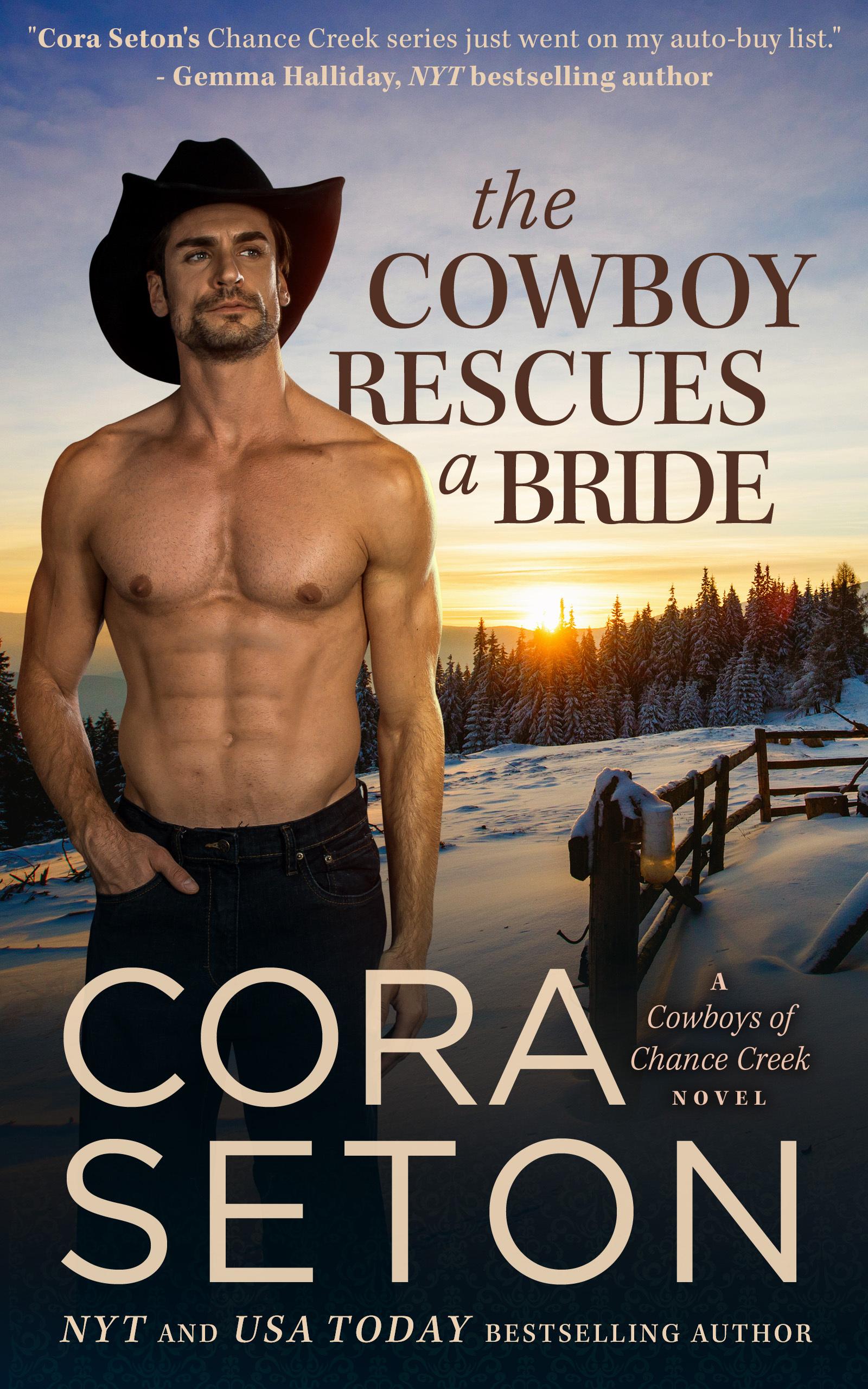 The Cowboy Rescues a Bride book cover