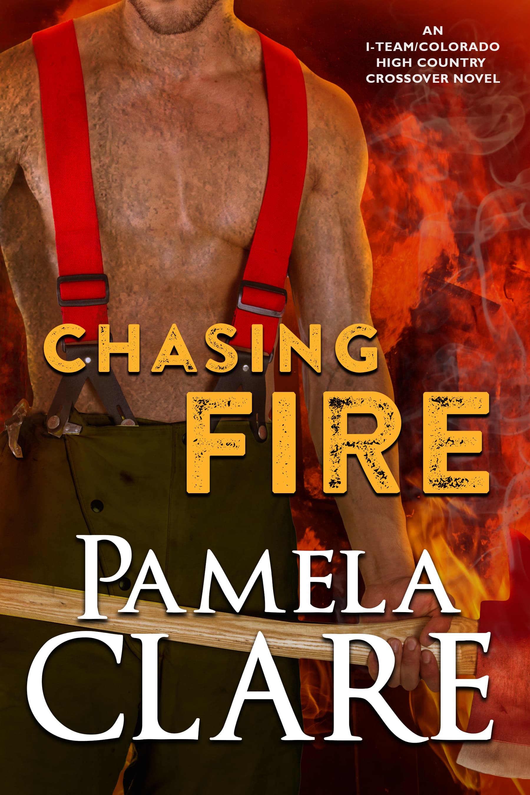 Chasing Fire book cover