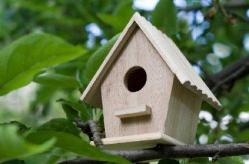 How To Build Bird Houses: A Guide For Beginners book cover