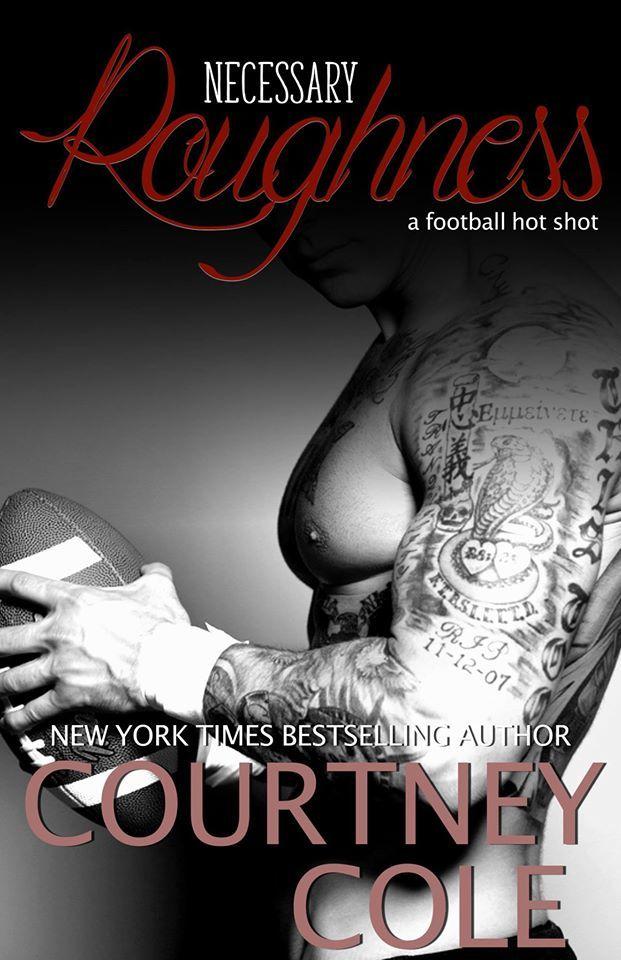 Necessary Roughness book cover