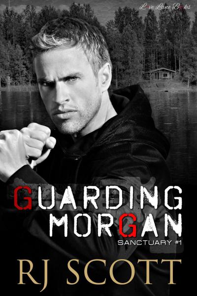 Guarding Morgan book cover