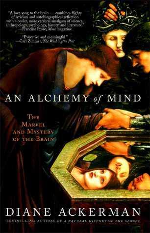 An Alchemy of Mind: The Marvel and Mystery of the Brain book cover