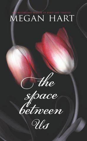 The Space Between Us book cover