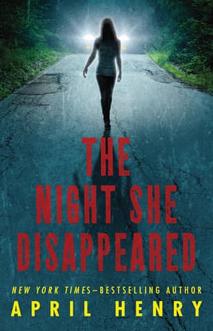 The Night She Disappeared book cover