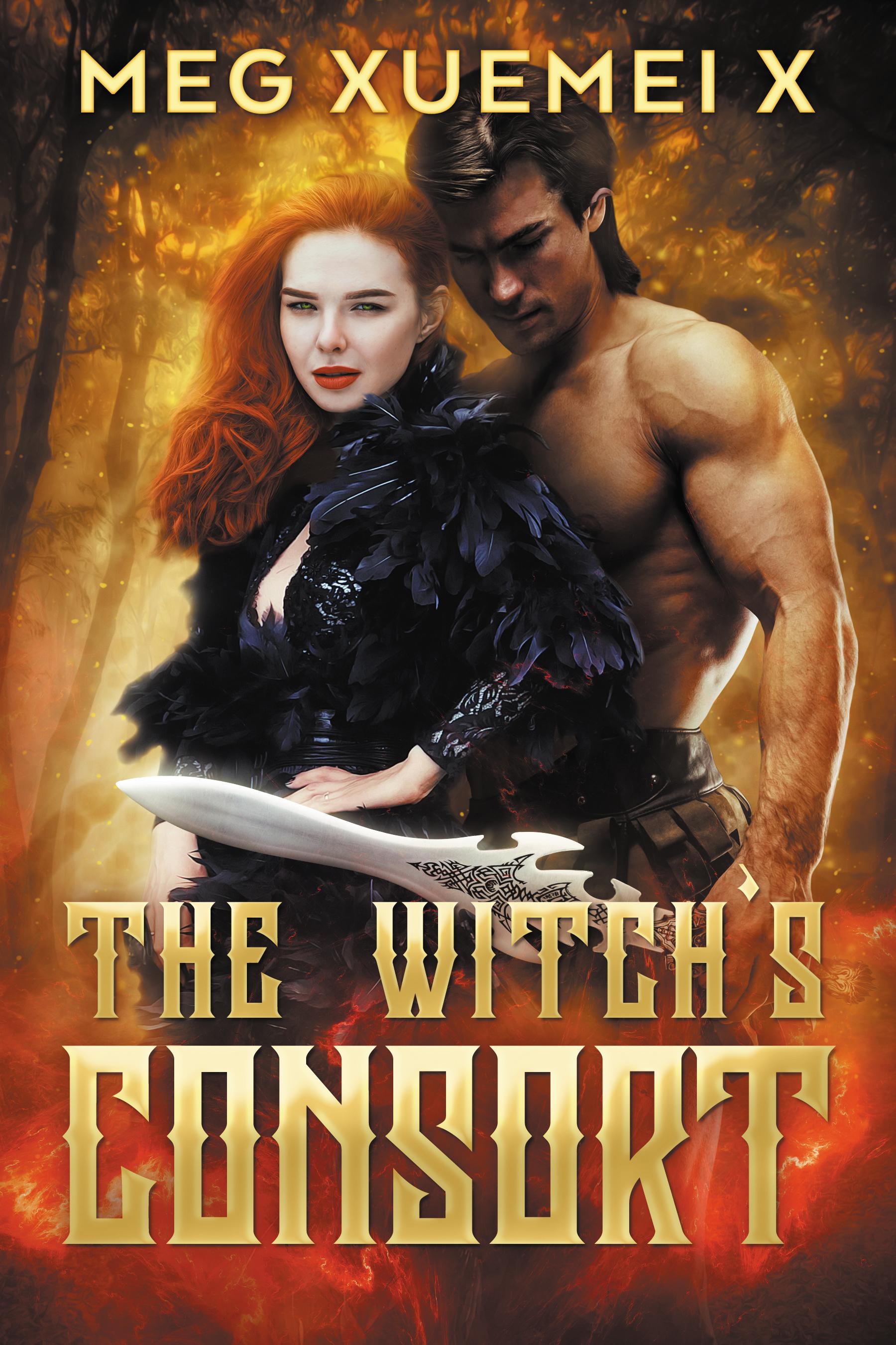 The Witch's Consort book cover