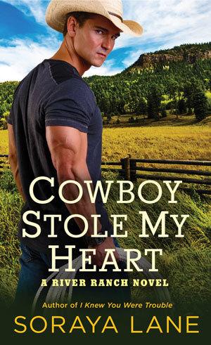 Cowboy Stole My Heart book cover