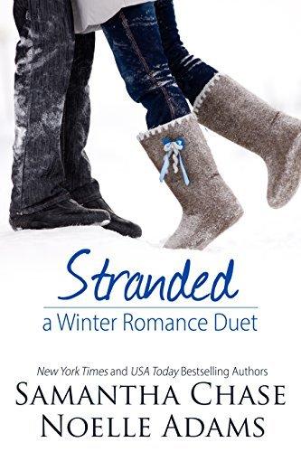 Stranded: Moonlight in Winter Park  / One Night in the Ice Storm book cover