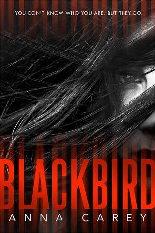 Blackbird book cover