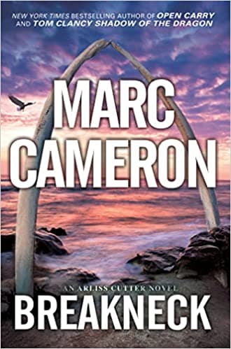 Breakneck book cover
