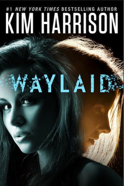 Waylaid