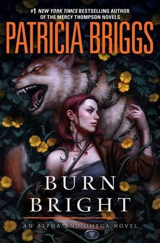 Burn Bright book cover