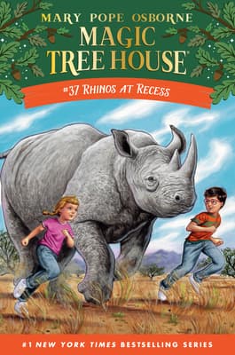 Rhinos at Recess book cover