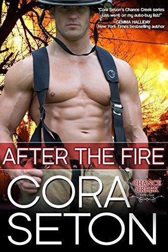 After the Fire book cover