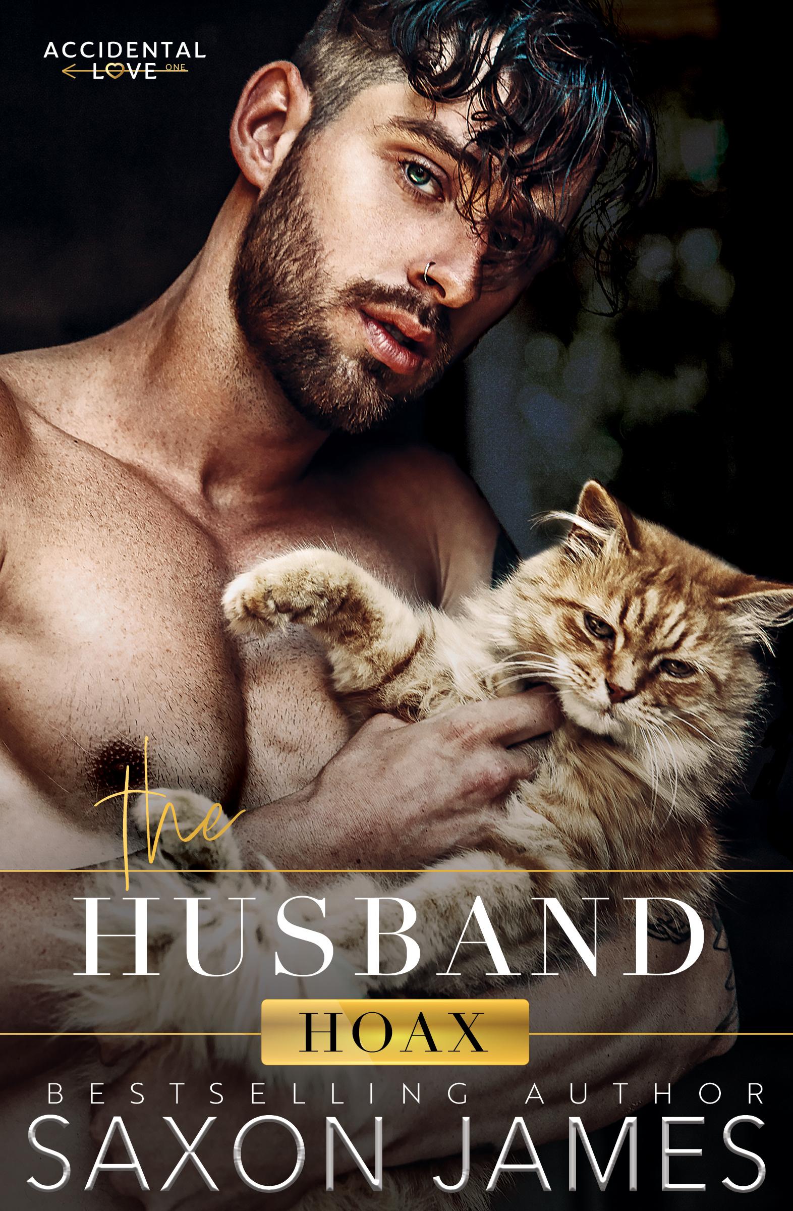 The Husband Hoax book cover