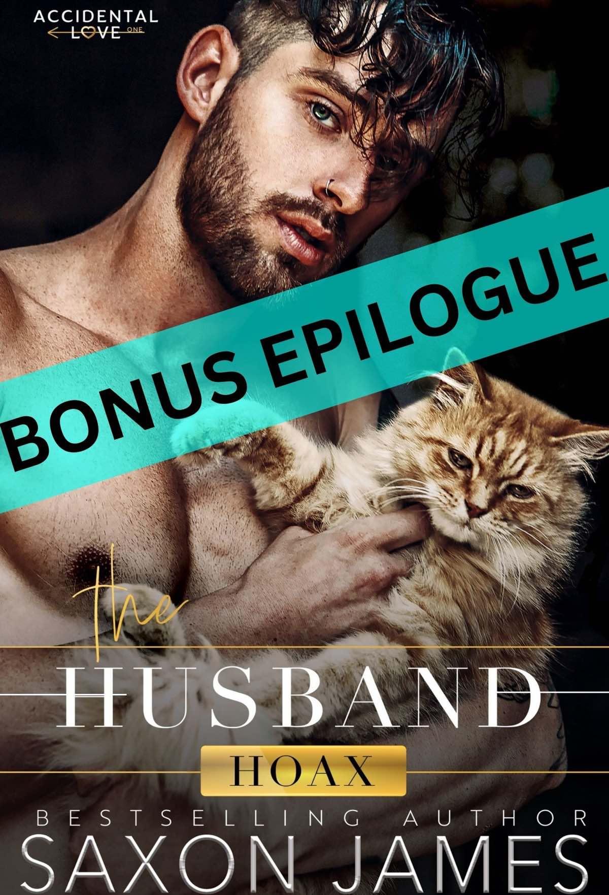 The Husband Hoax Bonus Epilogue book cover