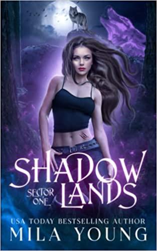 Shadowlands Sector, One book cover