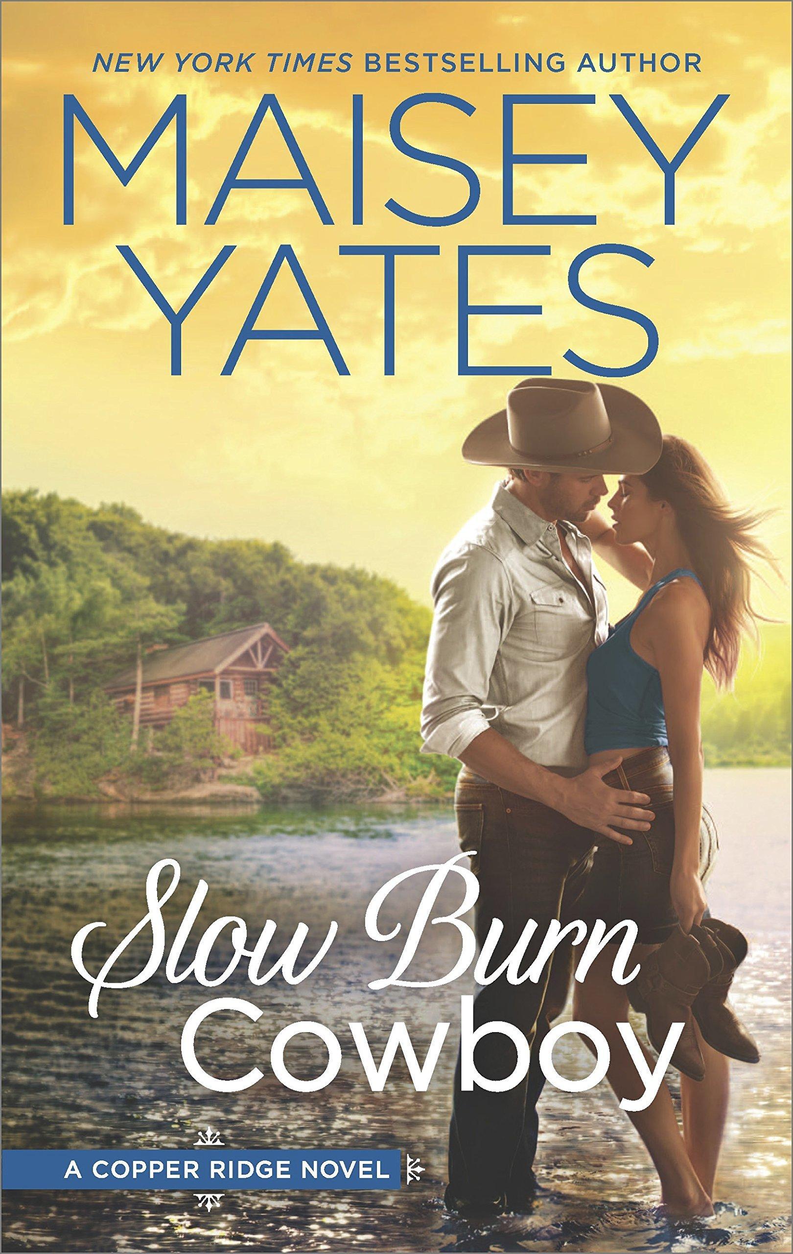 Slow Burn Cowboy book cover