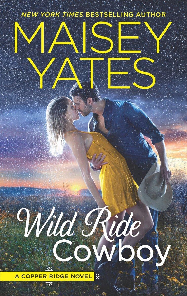 Wild Ride Cowboy book cover