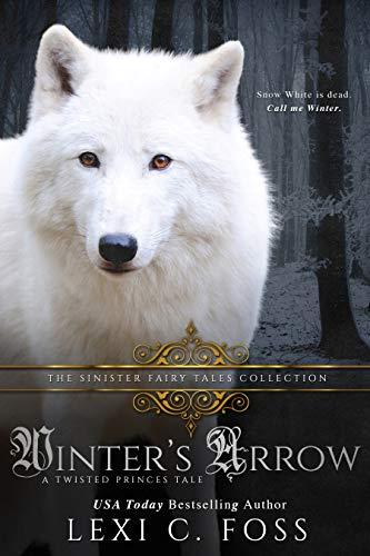 Winter's Arrow book cover