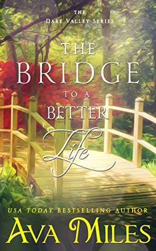 The Bridge to a Better Life book cover