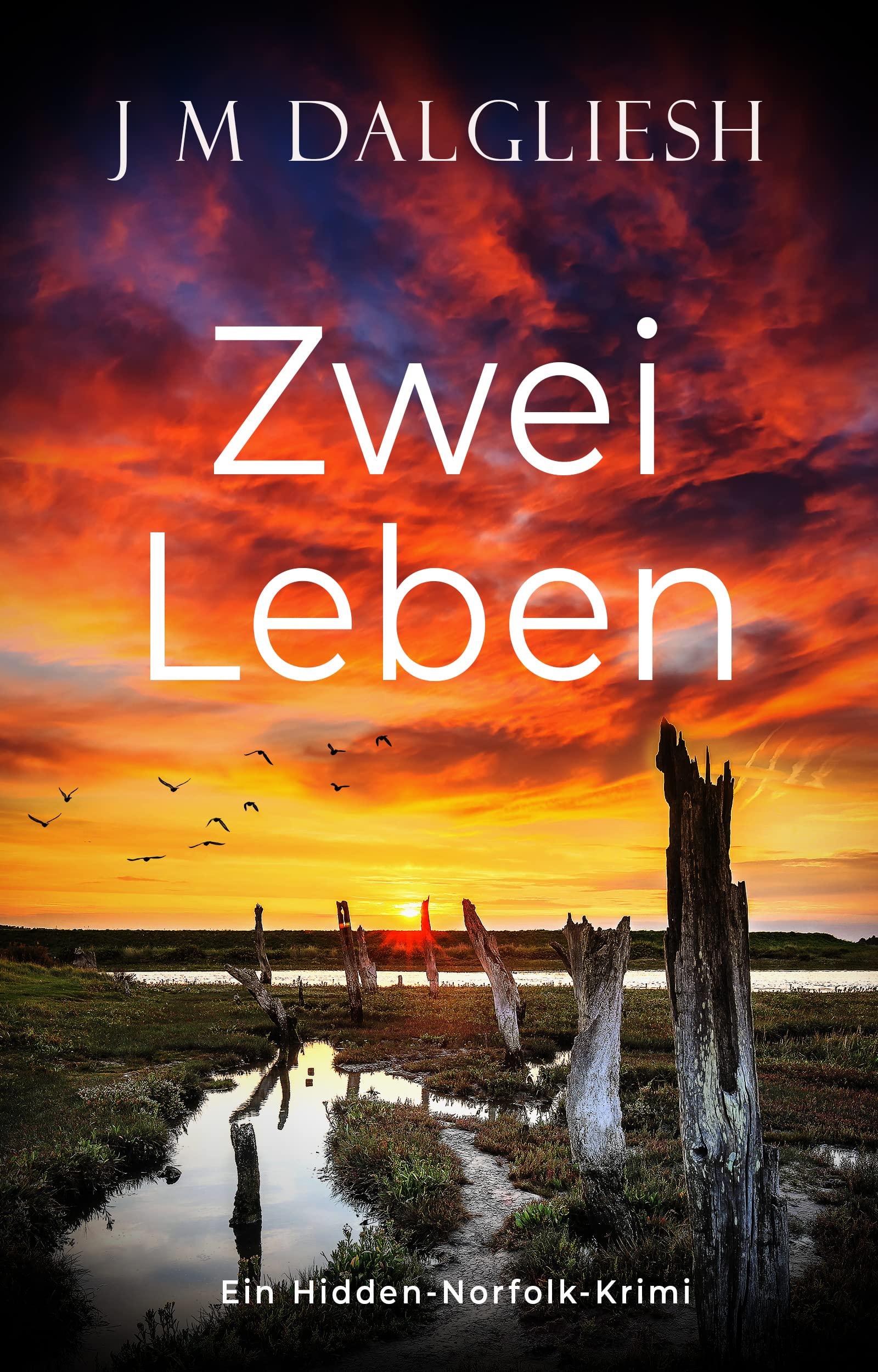 Zwei Leben: Ein Hidden-Norfolk-Krimi book cover