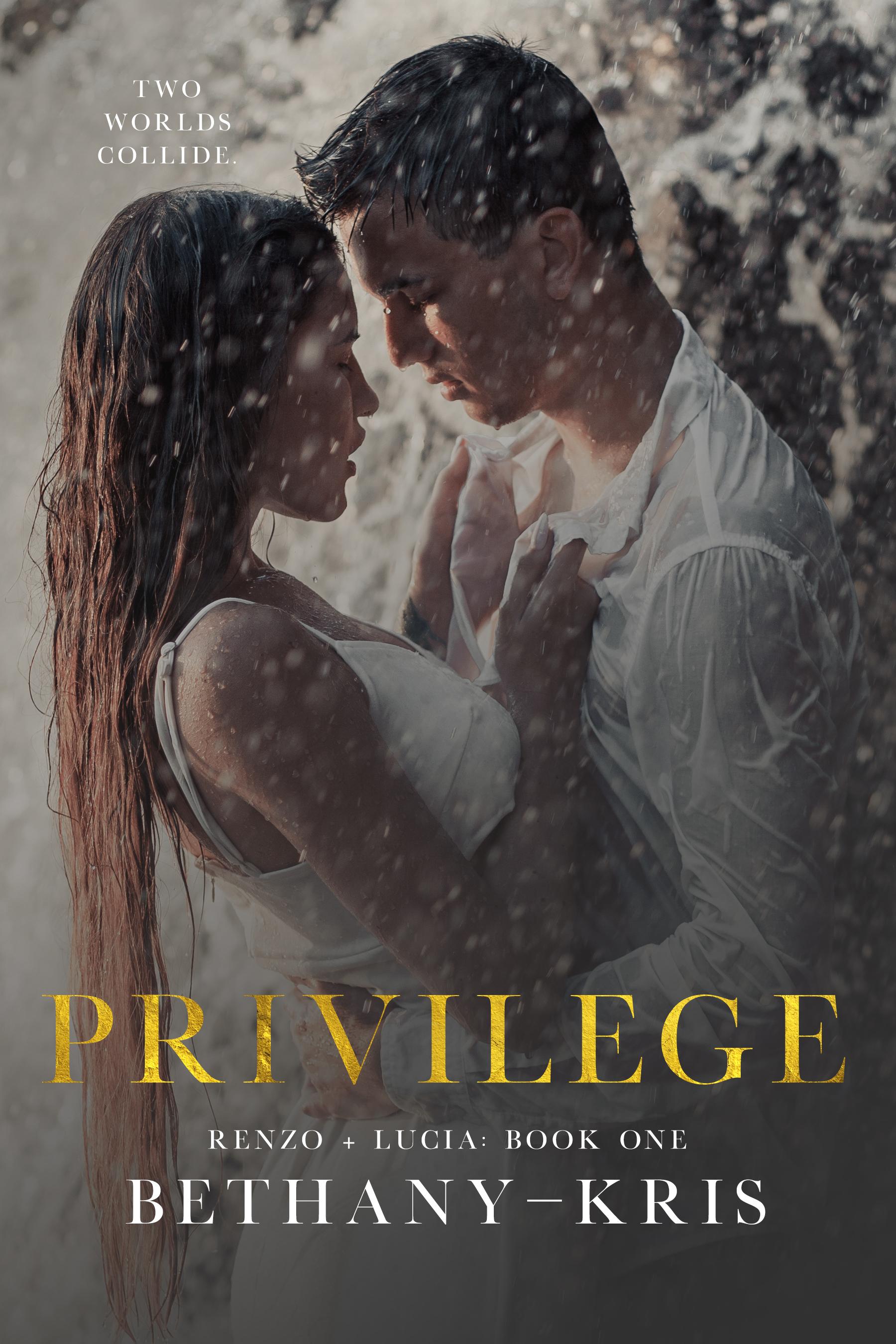 Privilege book cover