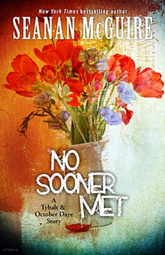 No Sooner Met book cover